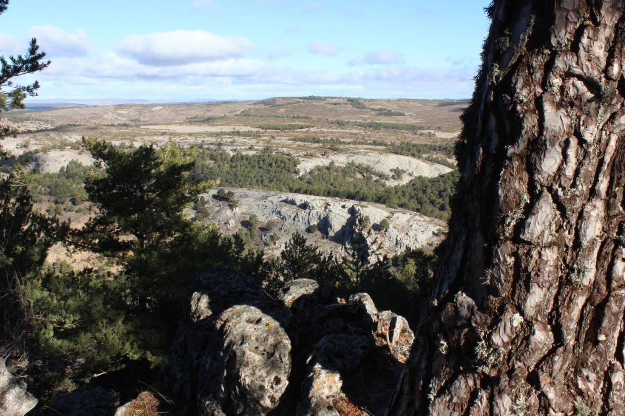 Casas Rurales Chon Alto Tajo Peralejos de las Truchas Bagian luar foto
