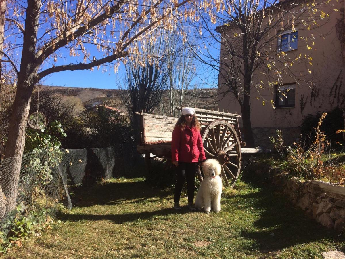 Casas Rurales Chon Alto Tajo Peralejos de las Truchas Bagian luar foto