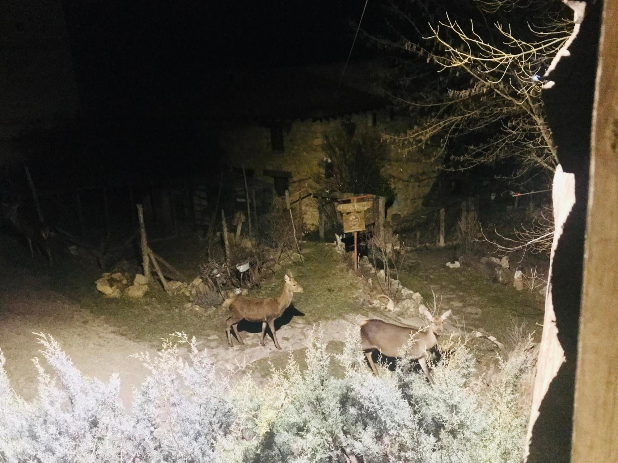 Casas Rurales Chon Alto Tajo Peralejos de las Truchas Bagian luar foto