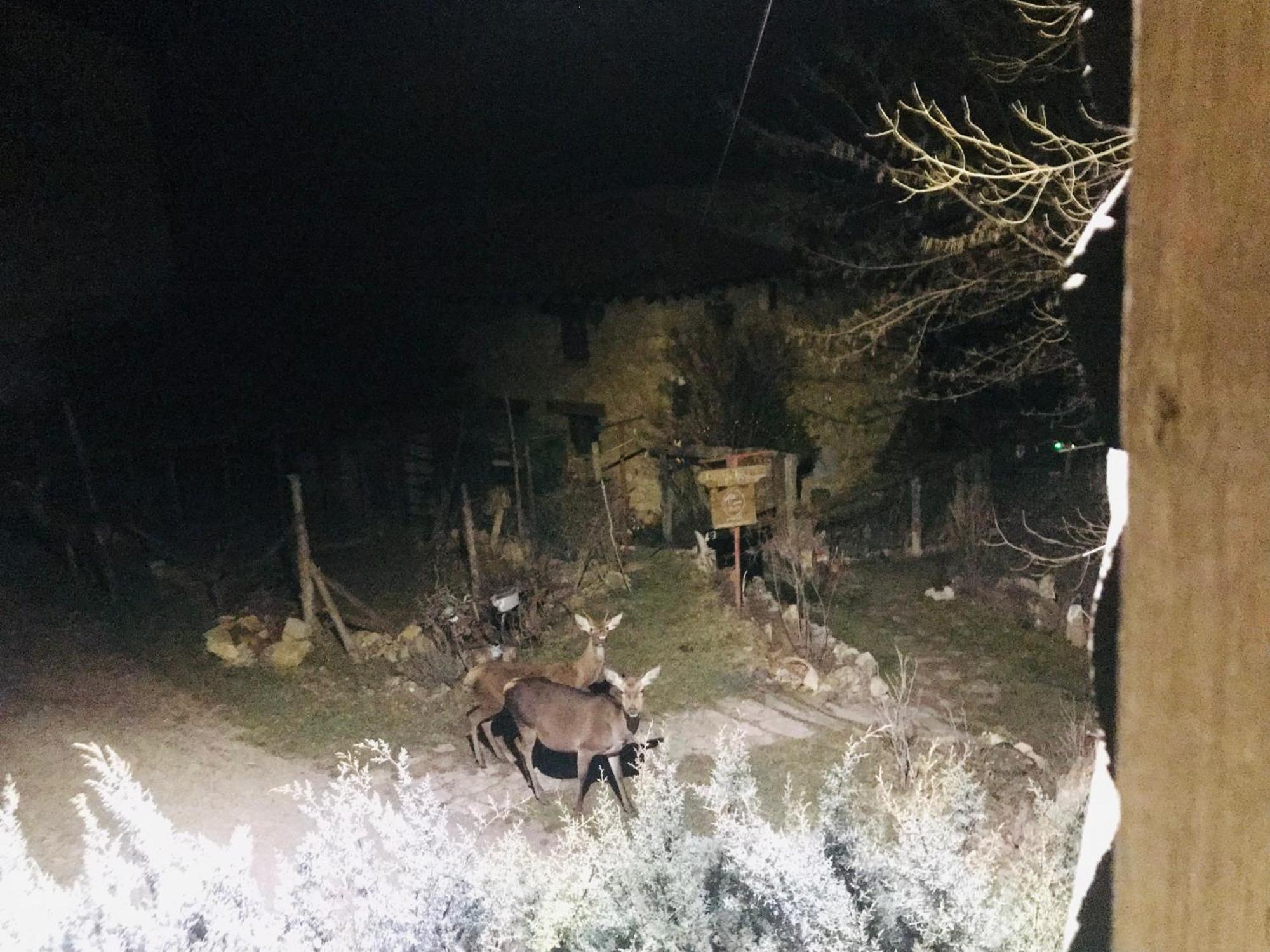 Casas Rurales Chon Alto Tajo Peralejos de las Truchas Bagian luar foto