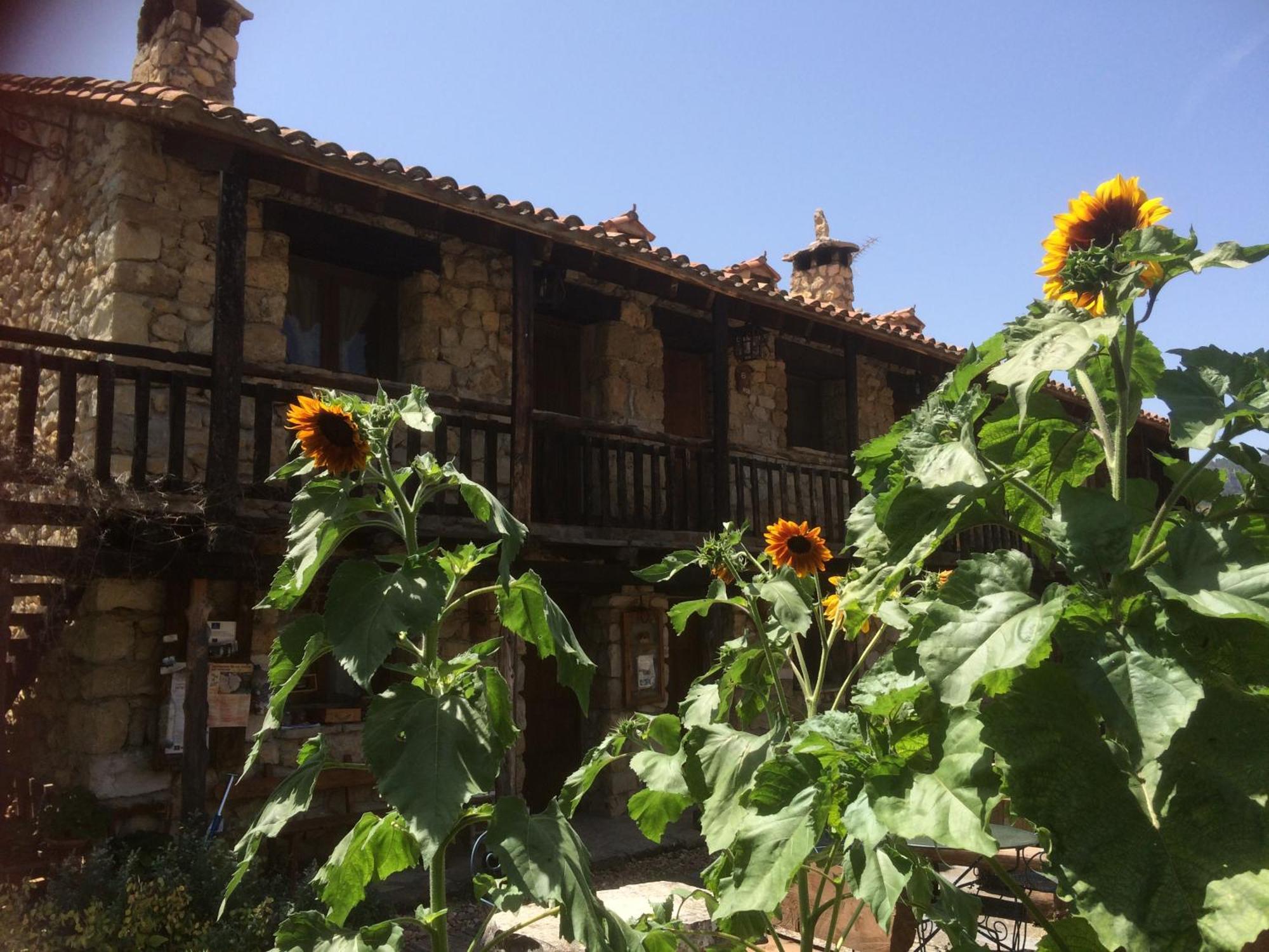 Casas Rurales Chon Alto Tajo Peralejos de las Truchas Bagian luar foto